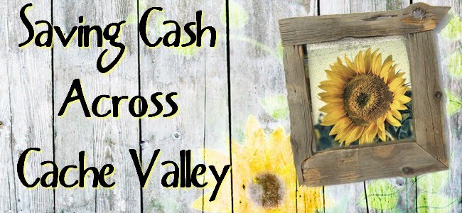 Savings Across Cache Valley