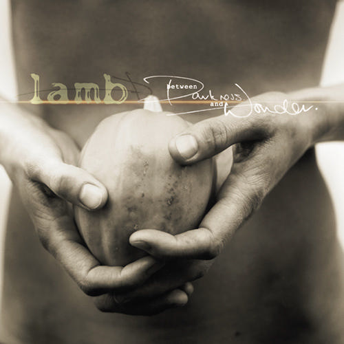 lamb+Between+Darkness+And+Wonder.jpg