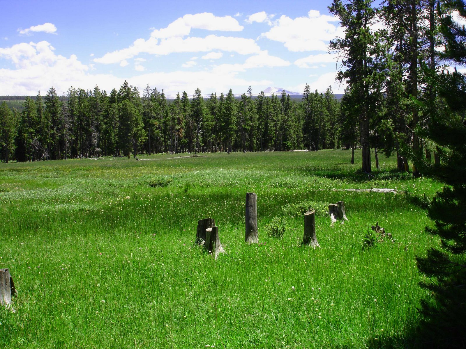 [GilbertPeakView.jpg]