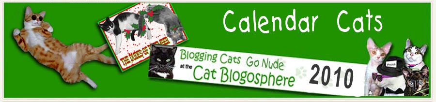 calendar cats