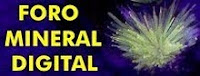 Foro Mineral digital