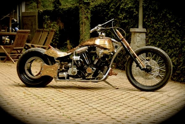 HARLEY+DAVIDSON+Touring+Picture+Customized.jpg