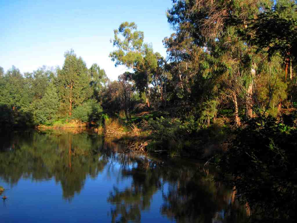 TRACKS, TRAILS AND COASTS NEAR MELBOURNE Winter hike at Sweeney's