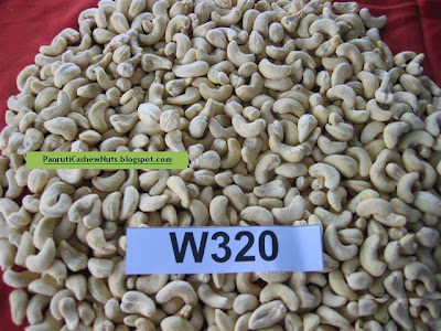 cashew w320 cashews w240 nut nuts panruti chennai kernels lowest w450 vietnam