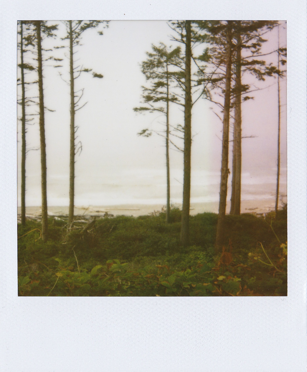 My First Real Polaroids ~ Just Travelin Through