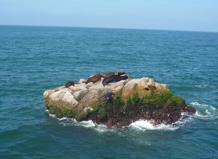 [mazatlan11.jpg]