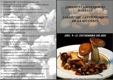 I CARRUSEL GASTRONÓMICO DE LA MICOTAPA