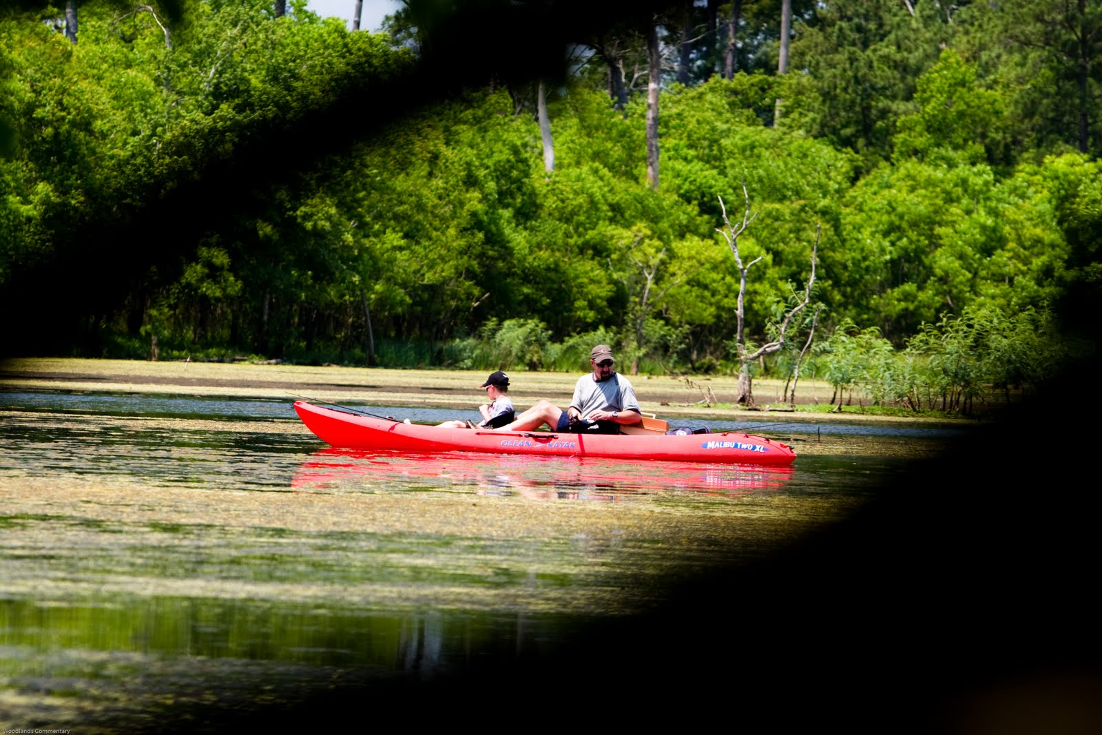 The Woodlands Texas Parks Lakeside Park in The Woodlands