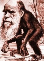 [darwin-ape.jpg]
