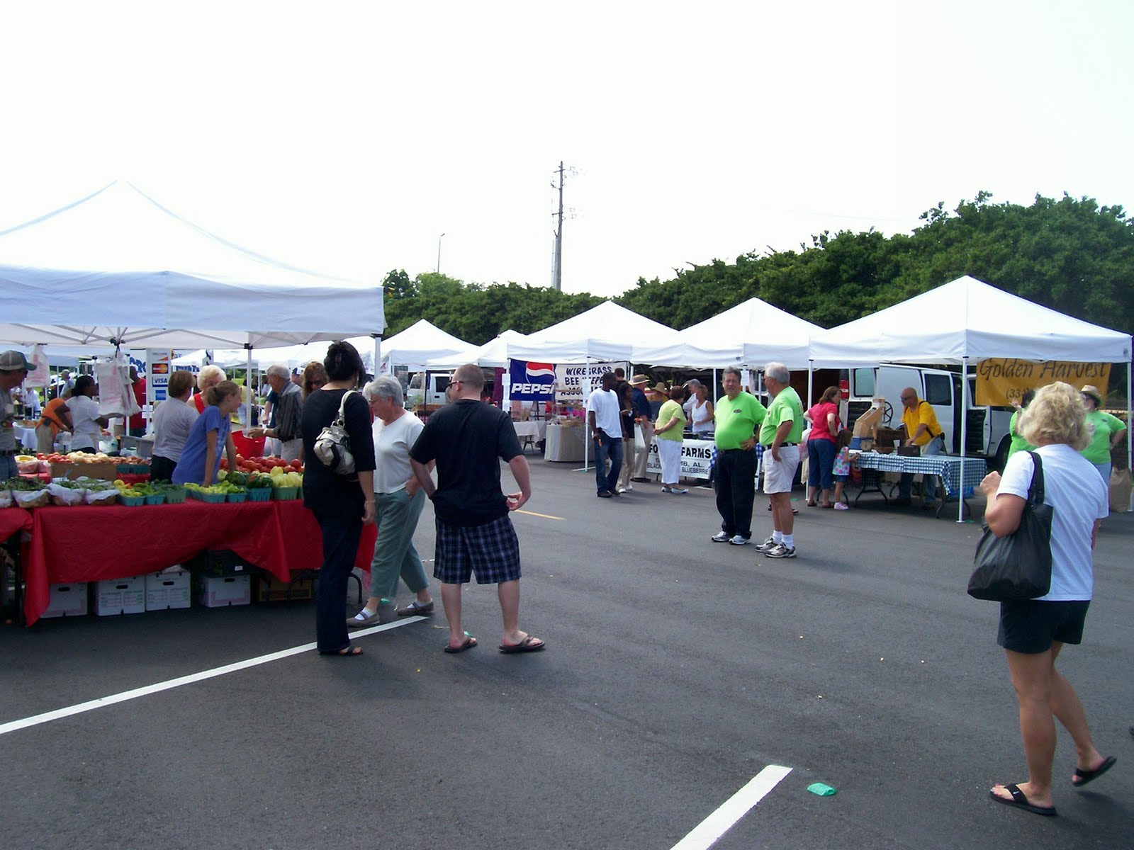 That City Girl Jacksonville Our Weekend......Saturday Morning Farmers Market, Lunch at Ruby