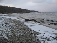 Snow on the Bay of Finland