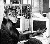 monkey+computer.jpg