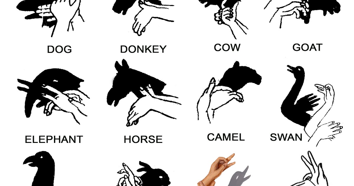 Scouting Encyclopedia 2010: Shadows of Animals in our Hands