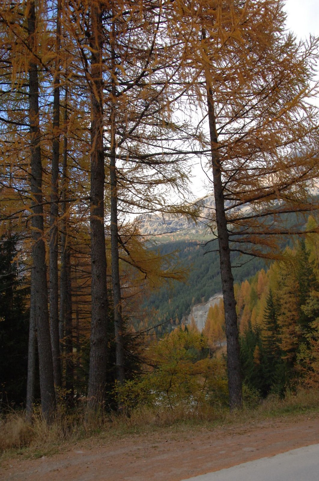 [DSC_0017.JPG]
