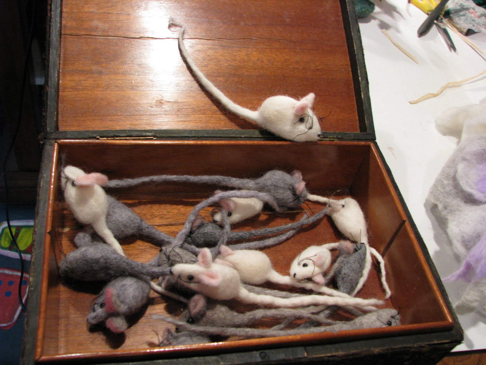 [IMG_0079+11-54-33.JPG]