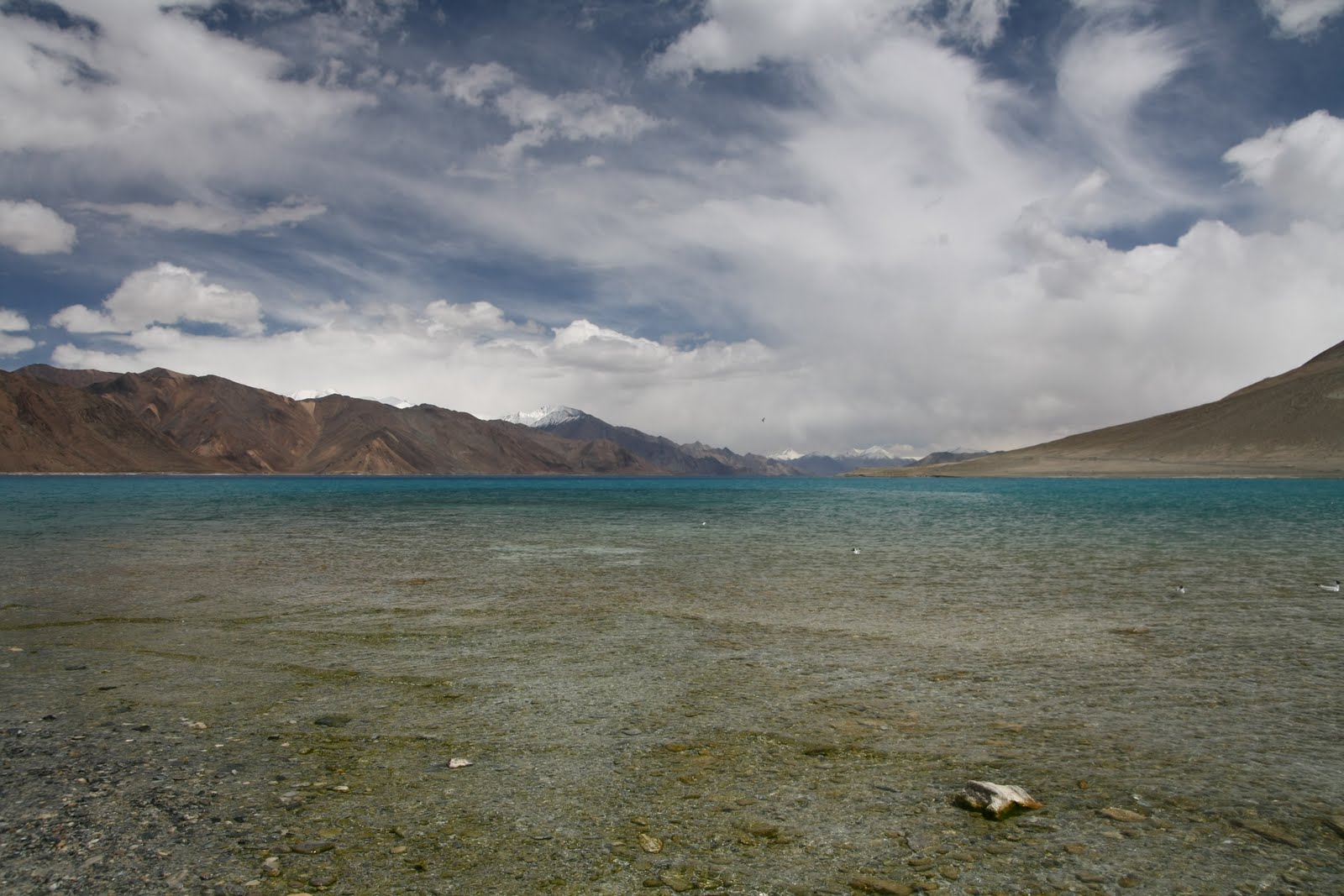 Suspended Timeout: Part 4 - Pangong Tso