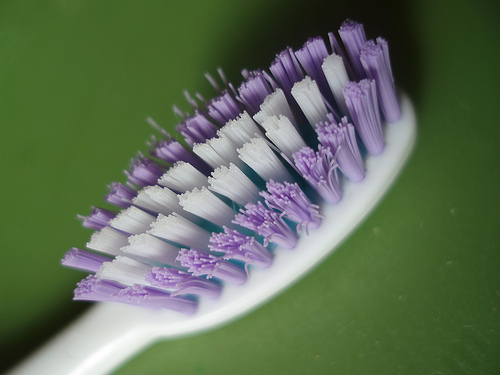 [toothbrush.jpg]