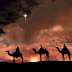 La historia de los Reyes Magos, fue escrita hacia el año 70 d.C., en arameo