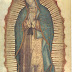 El Secreto de los ojos de la Virgen de Guadalupe