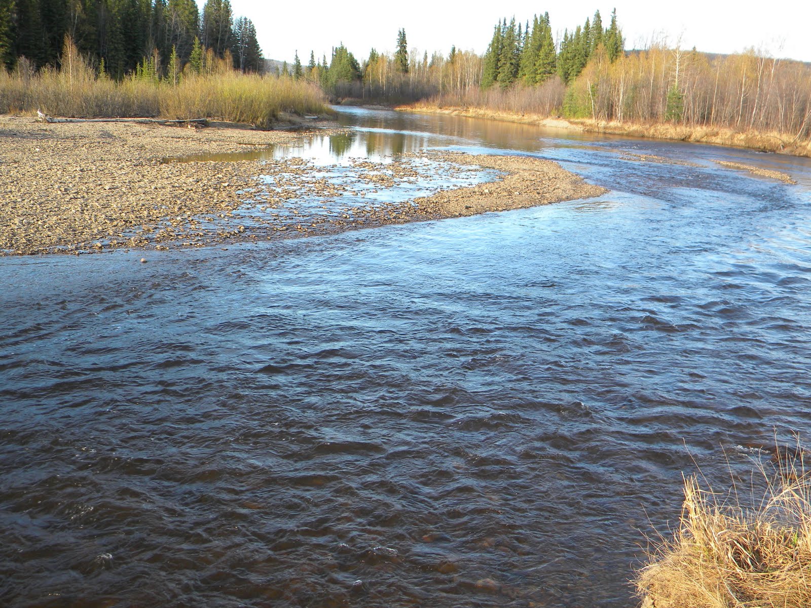 Traveling Through To Chatanika, Alaska and beyond...
