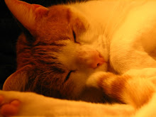 tiggs