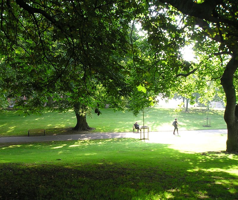 [western+park+2l.jpg]