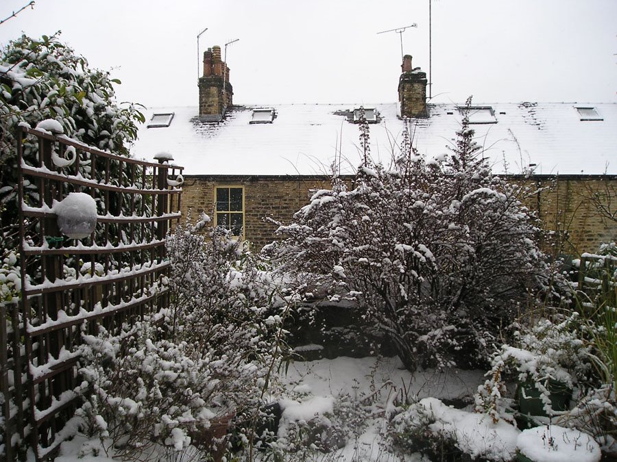 [front+garden+snow.jpg]