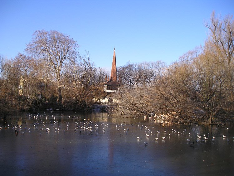 [frozen+lake+zoo.jpg]