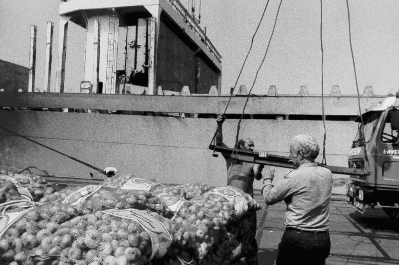 Rotterdam Destijds Havenwerkers in de put en Boeken Rotterdam Destijds Havenwerkers in de put en Boeken