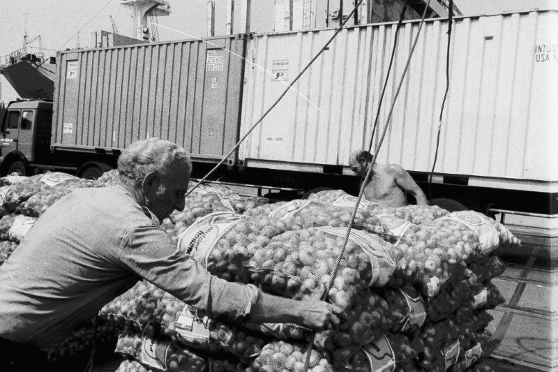 Rotterdam Destijds Havenwerkers in de put en Boeken Rotterdam Destijds Havenwerkers in de put en Boeken