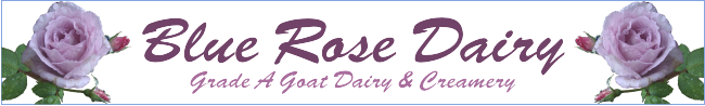 Blue Rose Dairy