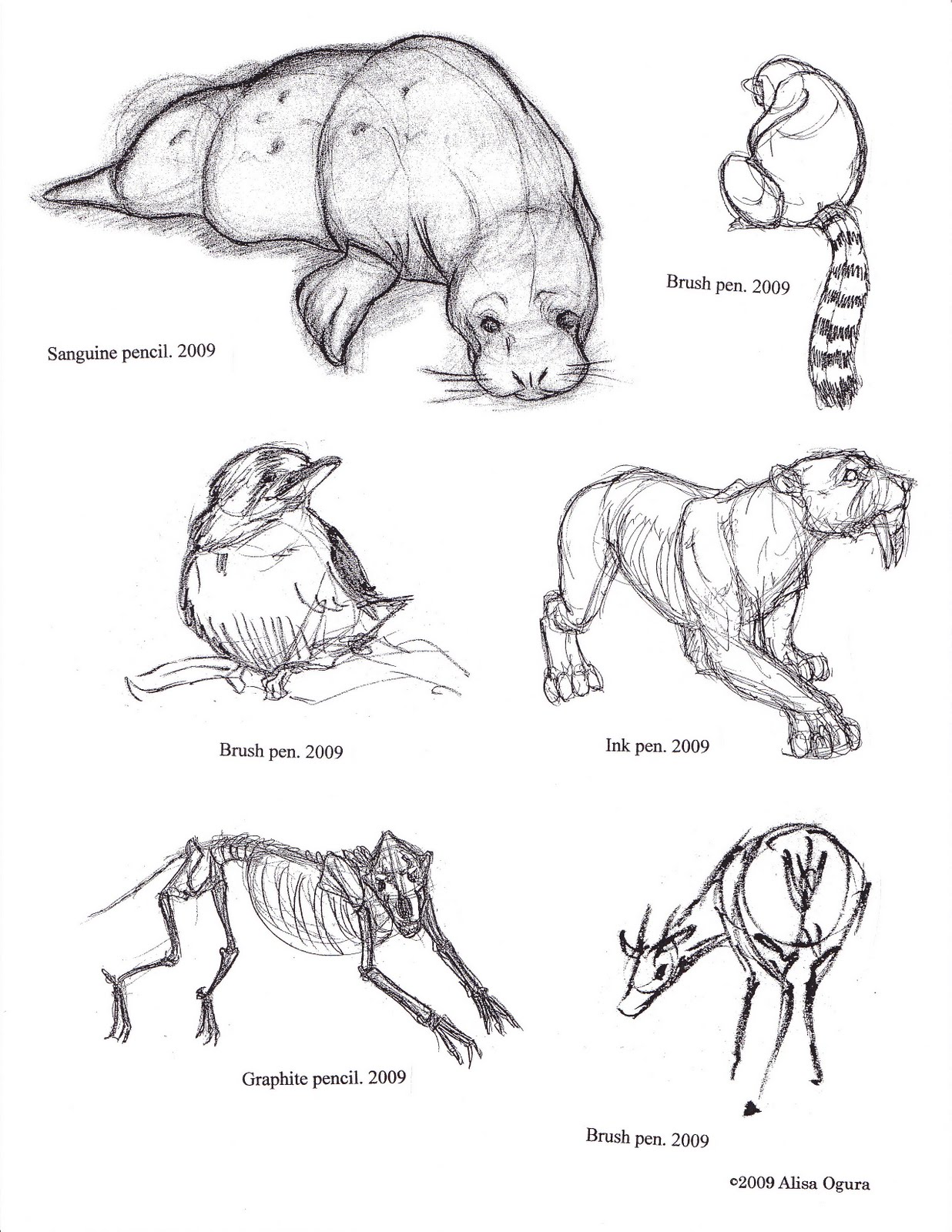 Red Bean Art: Animal Sketches