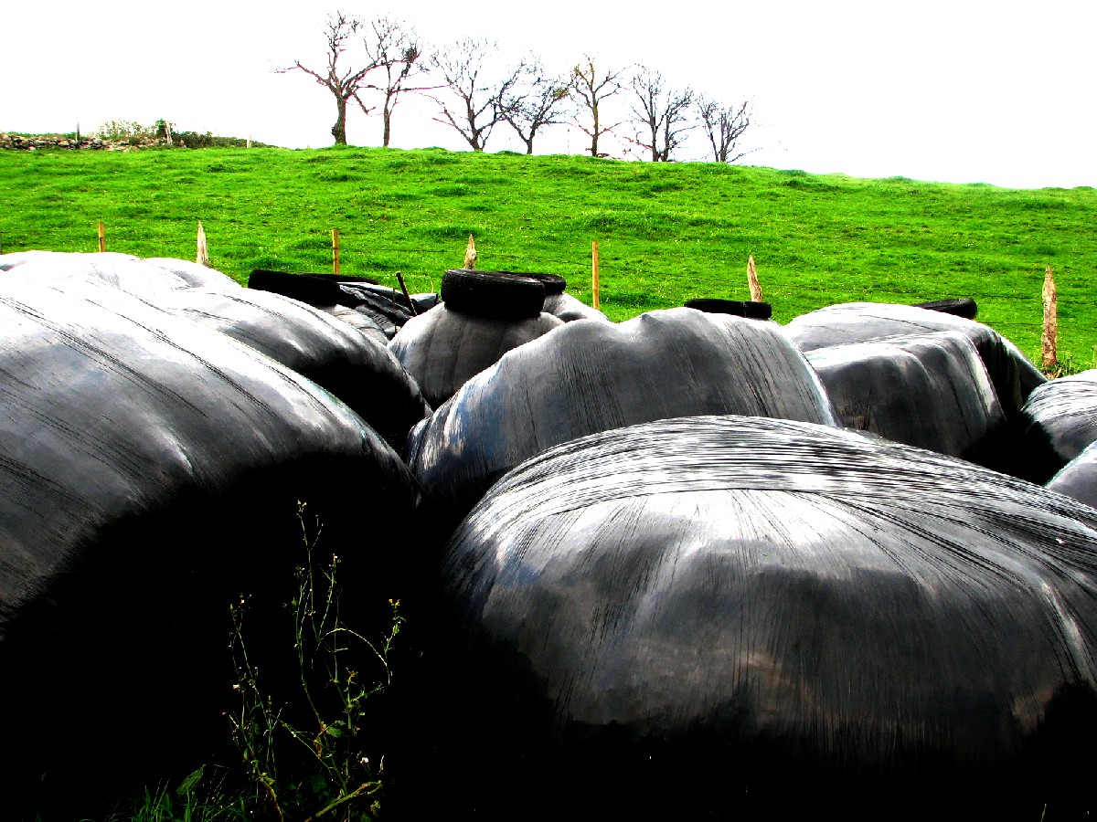 [@444-080320-5434-M-Hierba+embalada.jpg]