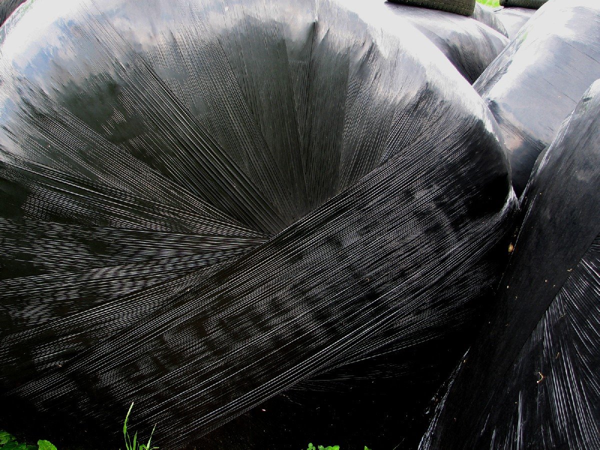 [@444-080320-5435-M-Hierba+embalada.jpg]