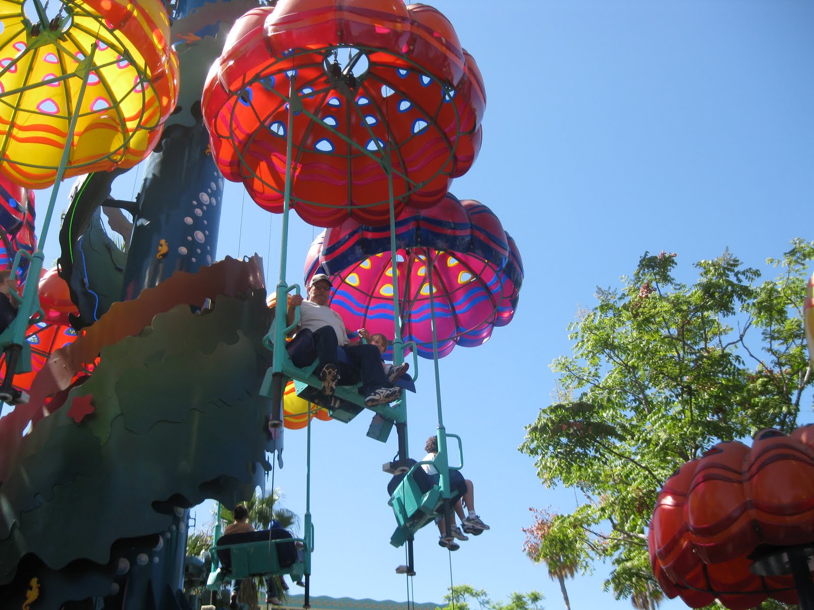 THE HIGHS Jumping Jelly Beans