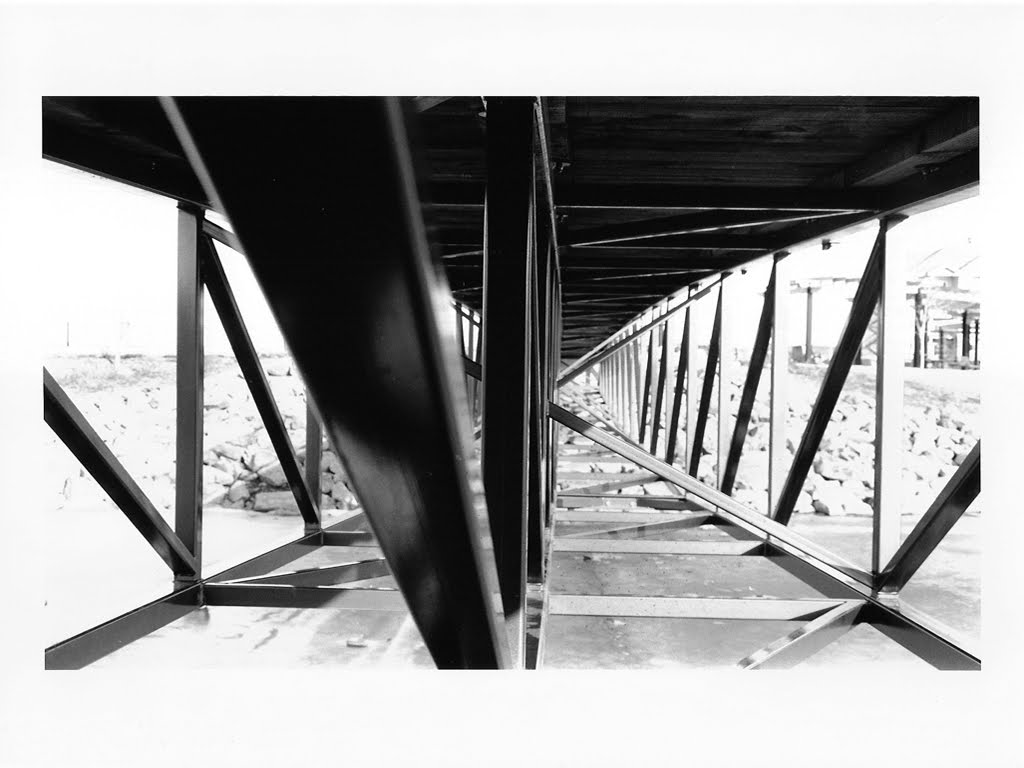 Photo-Arts I: Di Yu