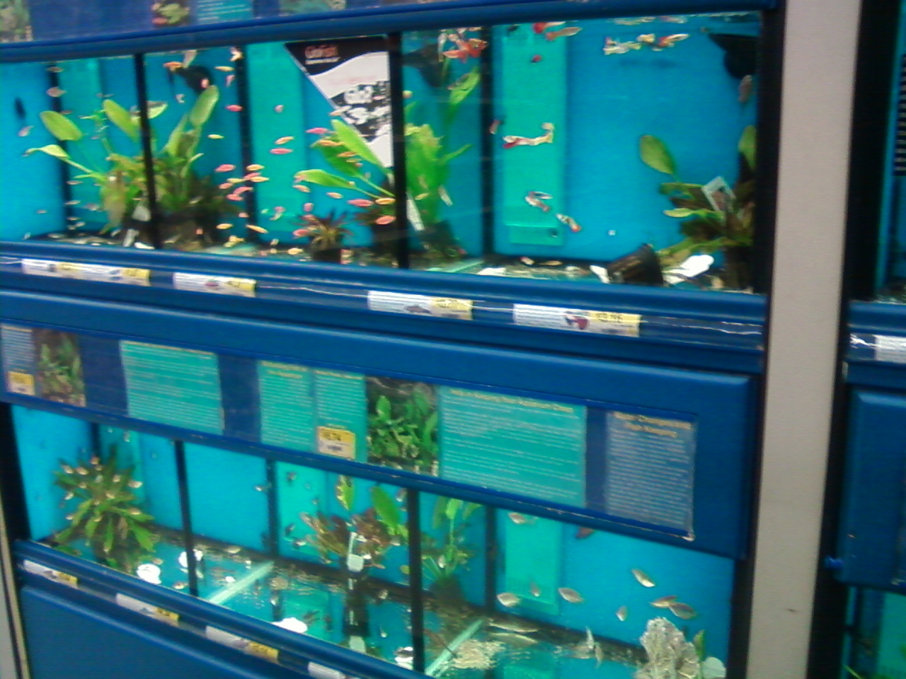 Proof of my Daily Existence August 26th, 2010