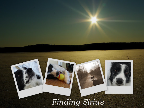 Finding Sirius