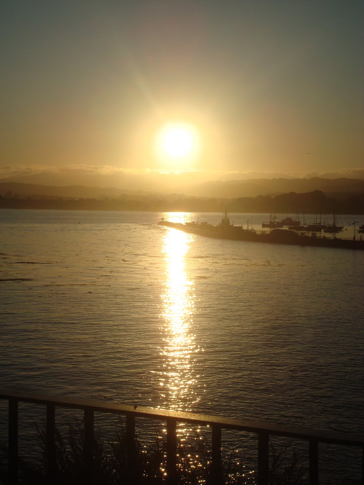 [DSC06800.JPG]