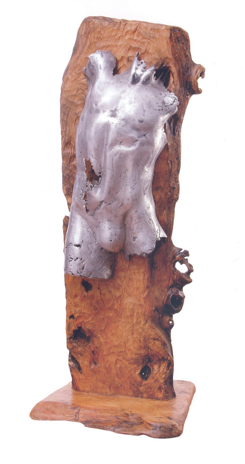 [Augusto+Tomás+001.jpg]