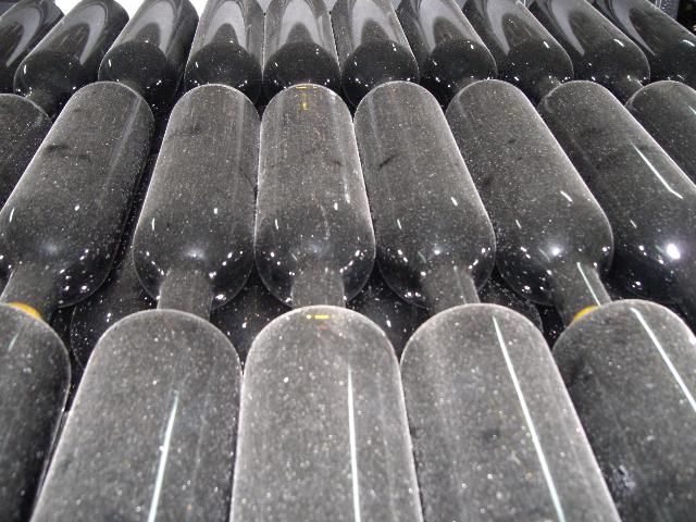 [CIMG3926+menor.jpg]