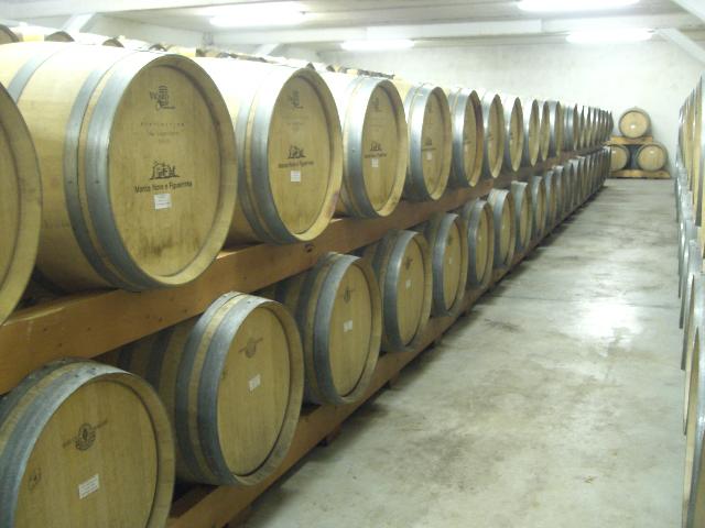 [CIMG3914+menor.jpg]