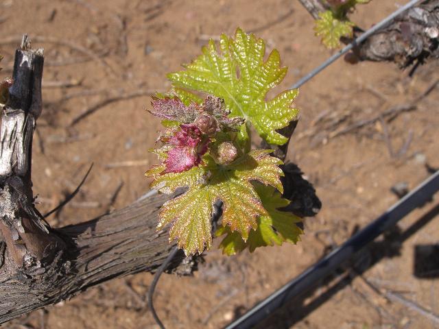 [CIMG3883+menor.jpg]