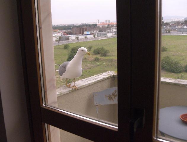 [CIMG7158+menor.jpg]