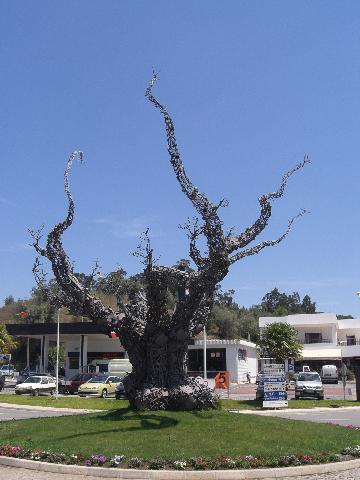 [CIMG4751+menor.jpg]