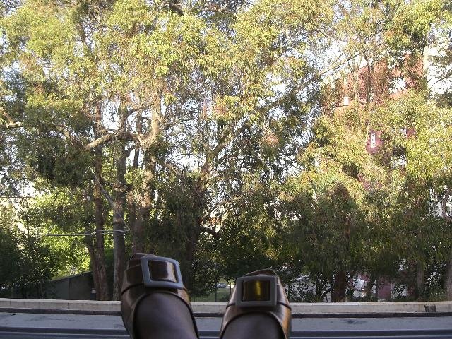 [CIMG5287+menor.jpg]