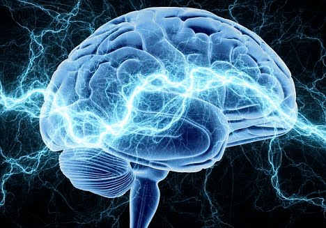 [BlueBrain.jpg]