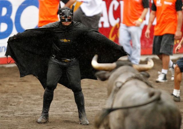 funny-pictures-batman-bull-fighter.jpg