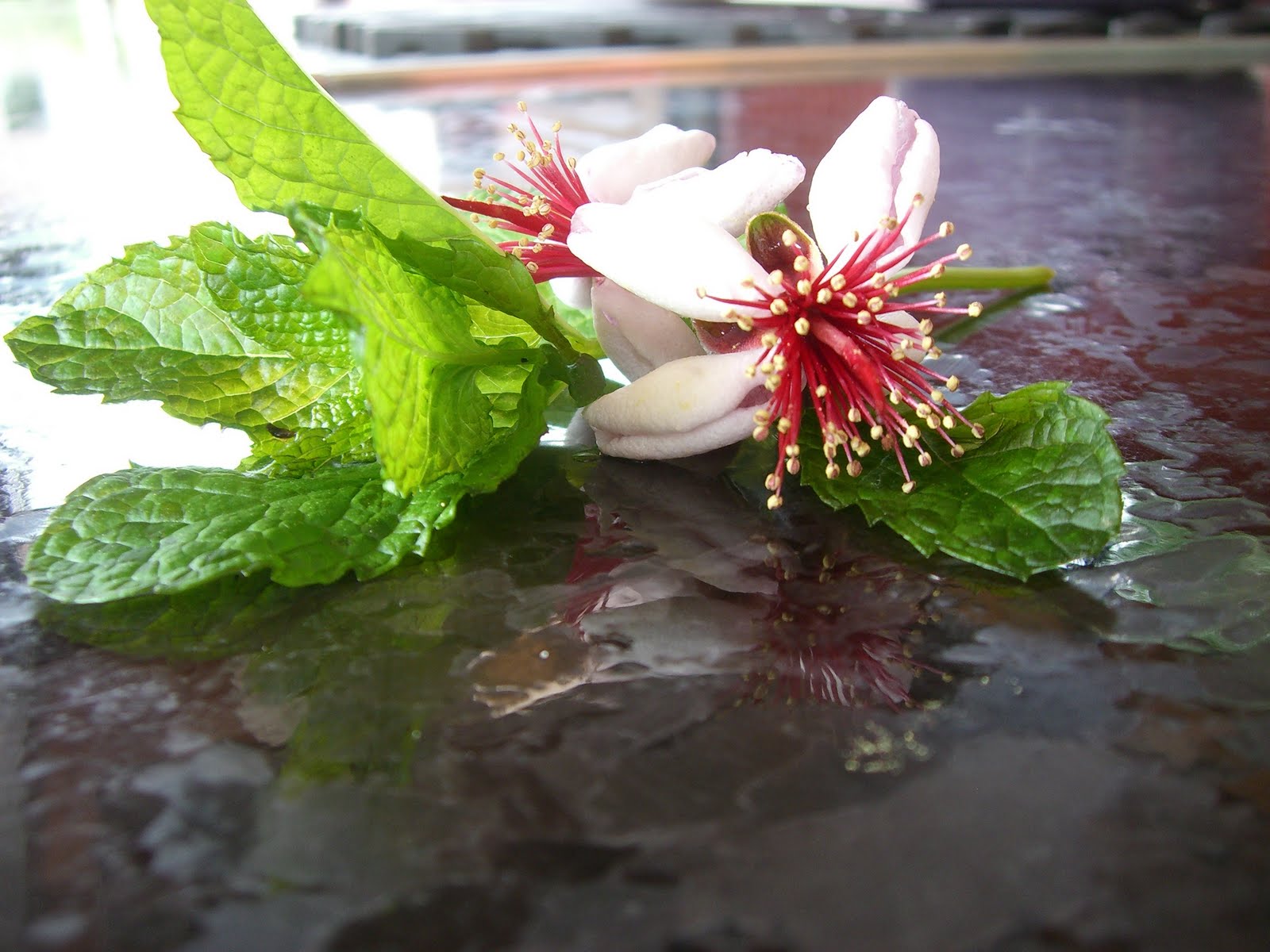 Plant to Plate Pineapple Guava Flowers