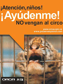 AYUDALES! NO VEAS CIRCOS CON ANIMALES